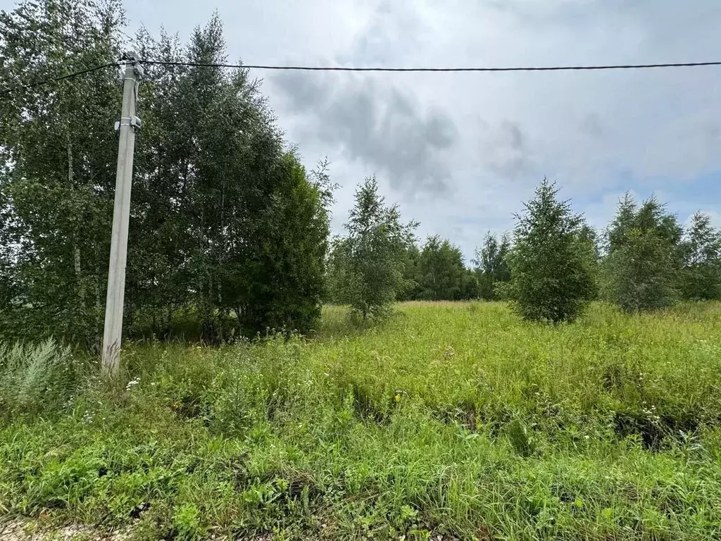 Участок в Тульская область, Ясногорский район, Иваньковское с/пос, ... - Фото 1