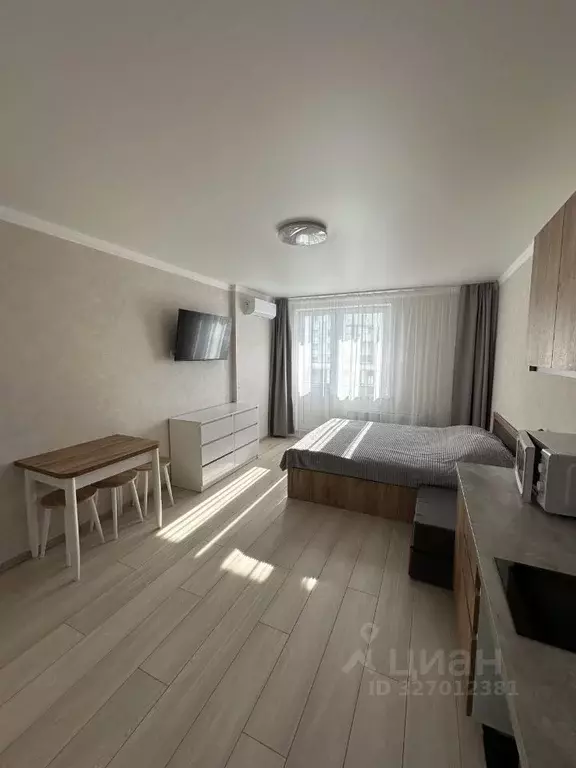 Студия Краснодарский край, Анапа ул. Ленина, 239 (27.7 м) - Фото 2