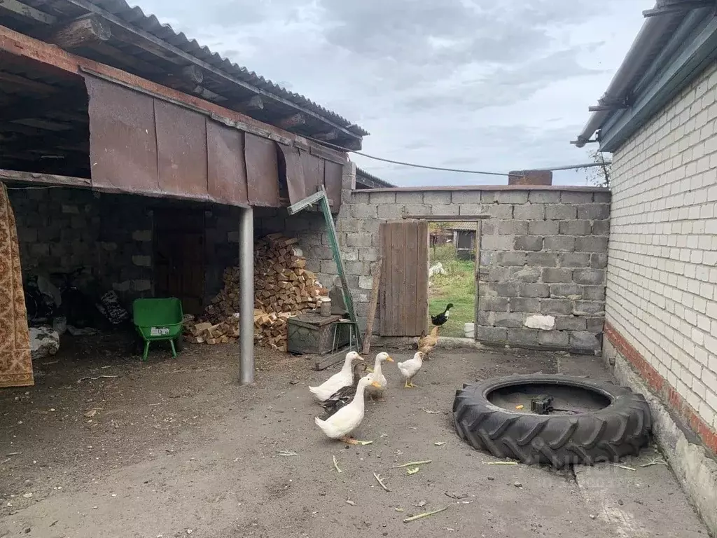 Дом в Челябинская область, Красноармейский район, Русско-Теченское ... - Фото 1