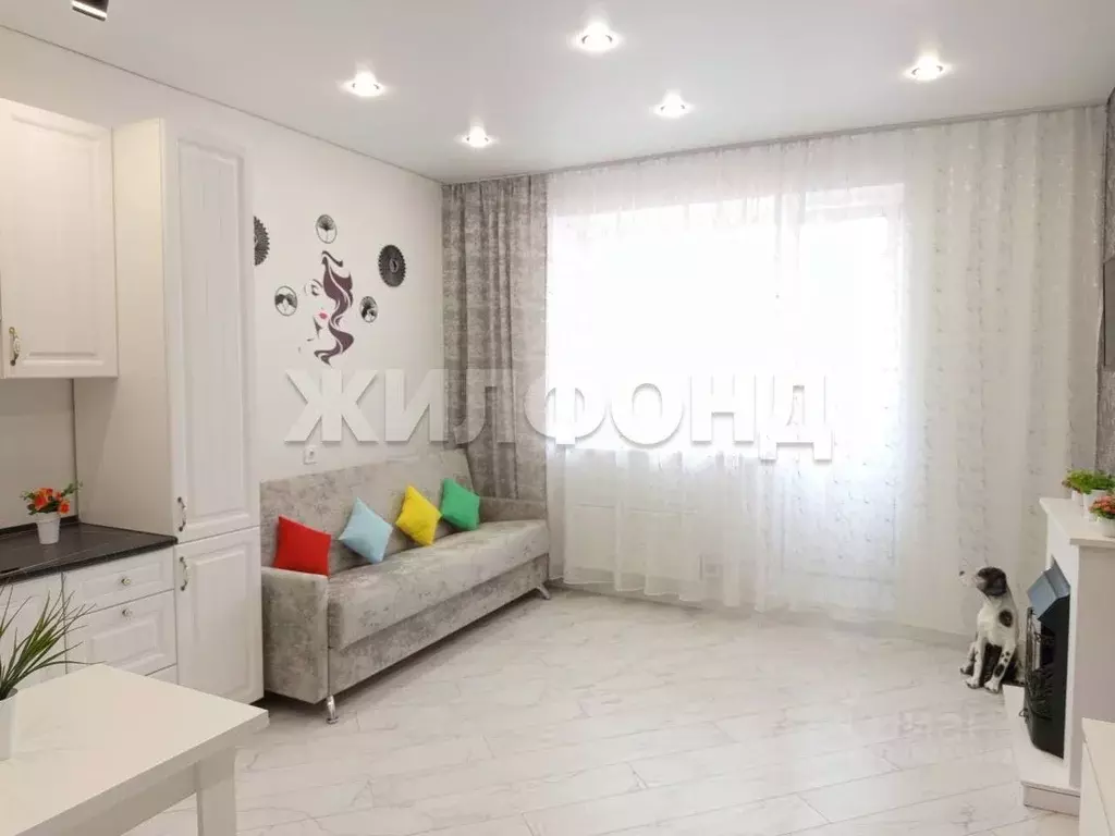 Студия Хакасия, Абакан просп. Дружбы Народов, 41 (27.0 м) - Фото 2