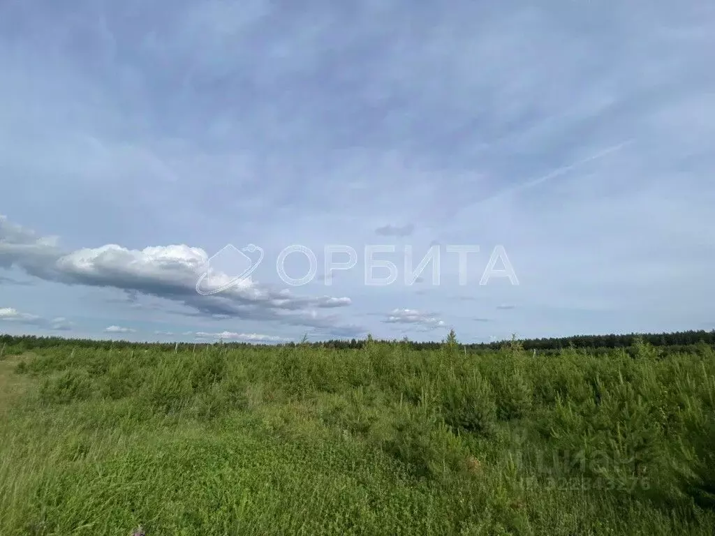 Участок в Свердловская область, Тугулым пгт пл. 50-летия Октября (15.0 ... - Фото 1