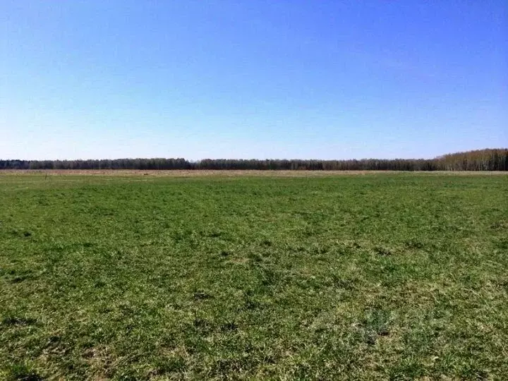 Участок в Хакасия, Бейский район, д. Дехановка Заречная ул. (17.7 ... - Фото 0
