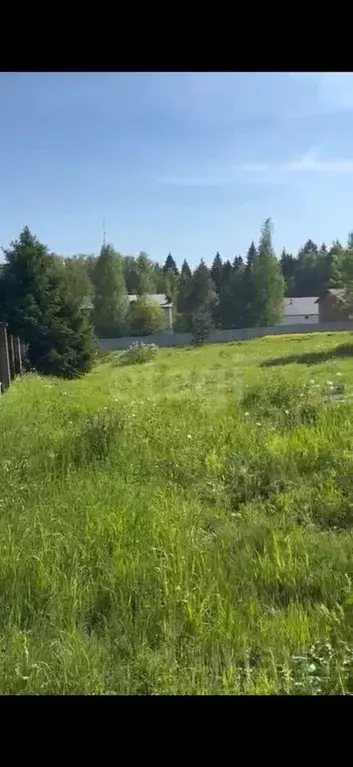 Участок в Московская область, Пушкинский городской округ, д. Зимогорье ... - Фото 2