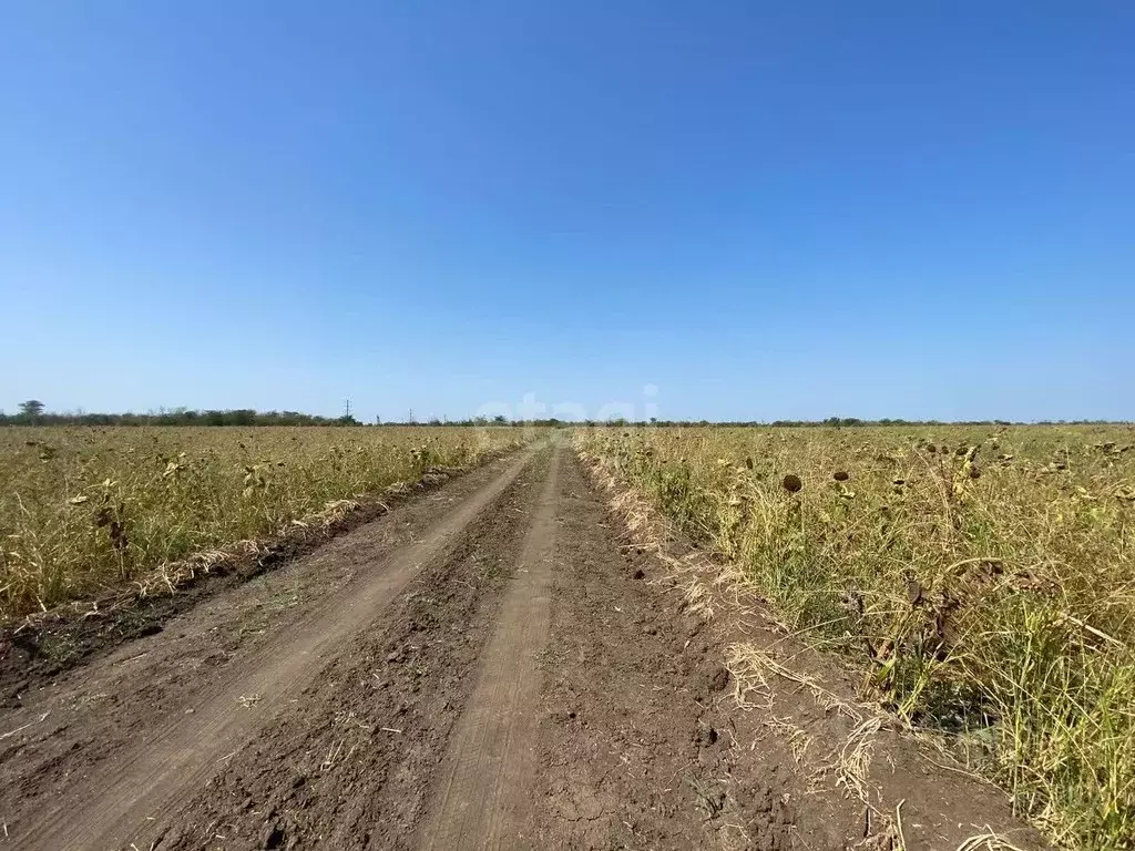 Участок в Краснодарский край, Ейск  (6.0 сот.) - Фото 0