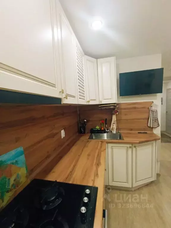 1-к кв. Санкт-Петербург, Санкт-Петербург, Пушкин ул. Генерала Хазова, ... - Фото 2