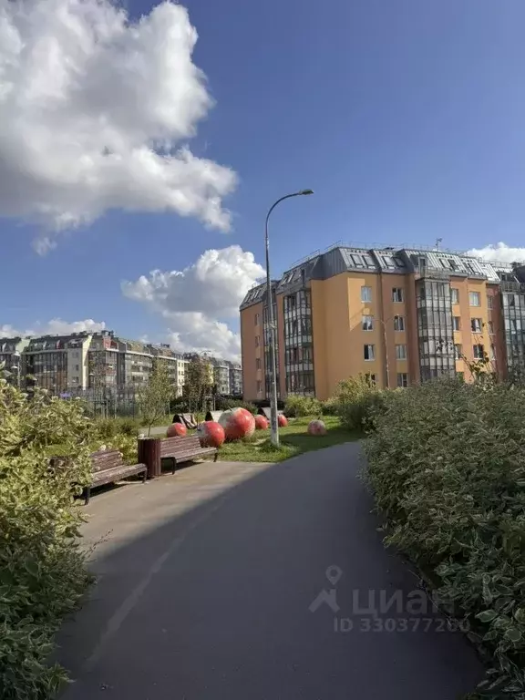 Студия Санкт-Петербург ул. Струве, 6 (26.0 м) - Фото 1