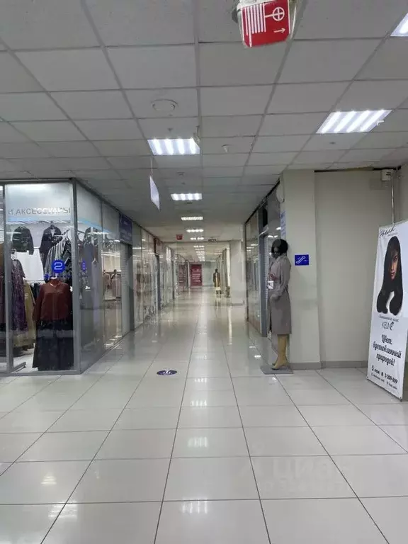 Торговая площадь в Пермский край, Пермь ул. Куйбышева, 37 (30 м) - Фото 2