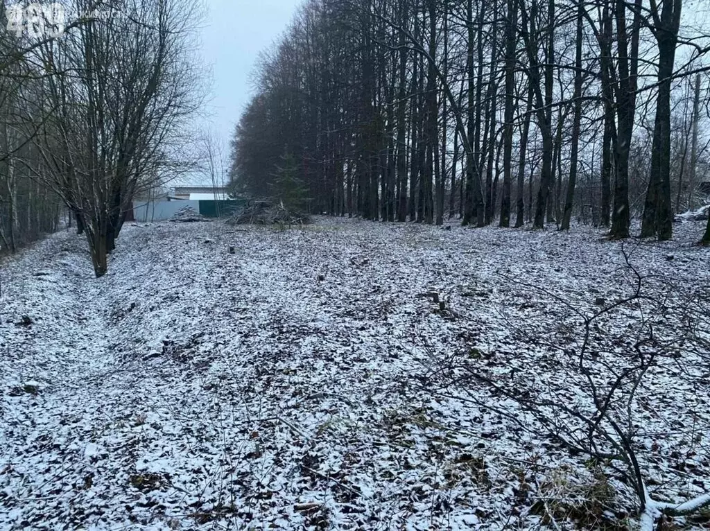 Участок в сельское поселение Коллонтай, деревня Шемякино (8.7 м) - Фото 0