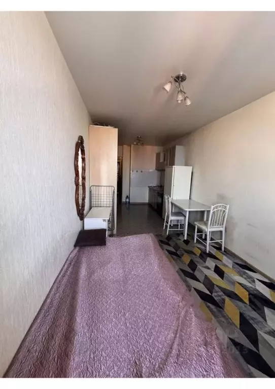 Студия Красноярский край, Красноярск ул. Вильского, 16 (27.0 м) - Фото 2