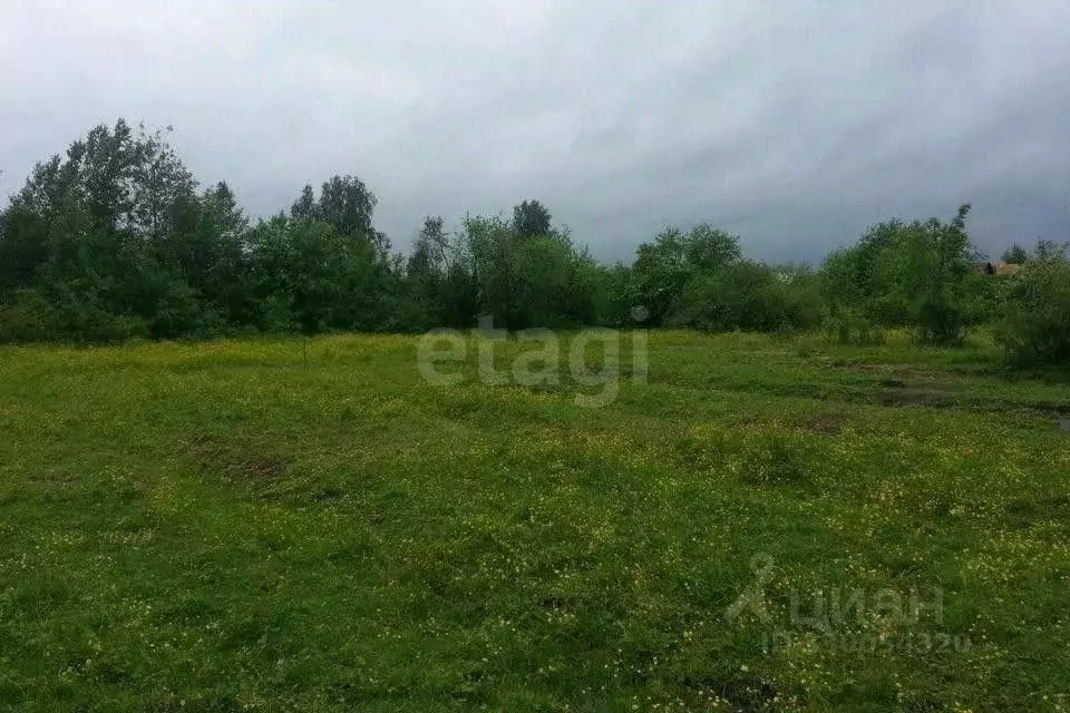 Участок в Владимирская область, Покров городской округ, д. Панфилово  ... - Фото 1