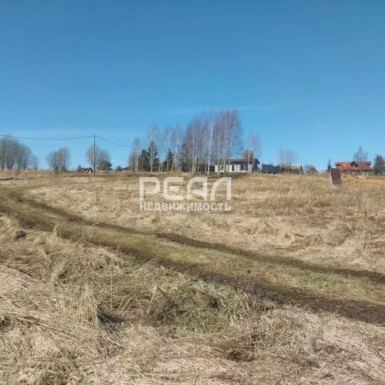 Участок в Ленинградская область, Гатчинский муниципальный округ, д. ... - Фото 1