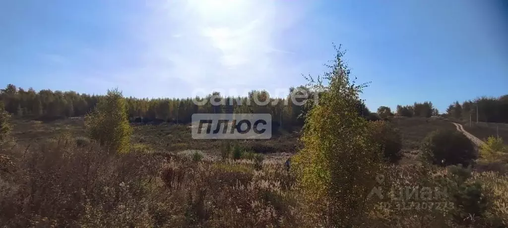 Участок в Владимирская область, Суздальский район, Новоалександровское ... - Фото 1
