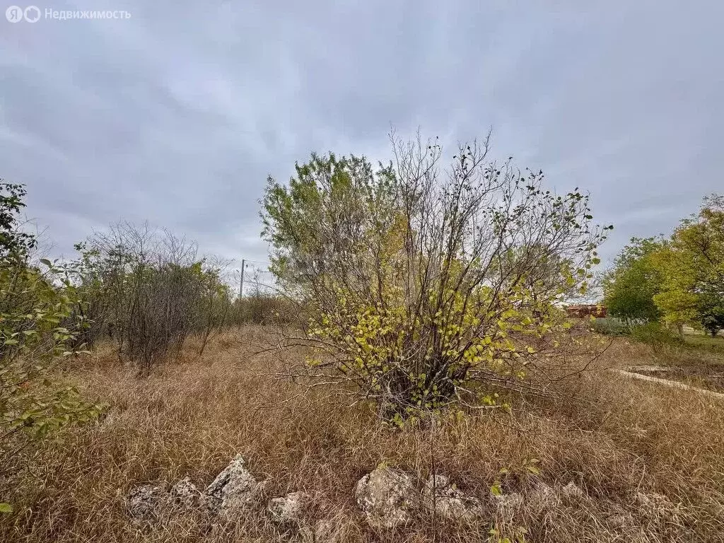 Участок в Урожайновское сельское поселение, ОК СТ Крымсовхозвинпром (6 ... - Фото 2