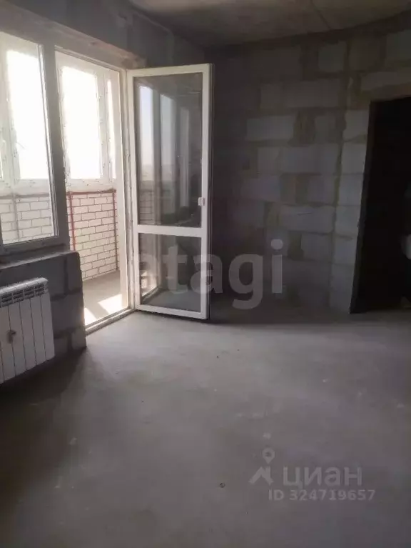 1-к кв. Амурская область, Благовещенский район, с. Чигири ул. ... - Фото 1