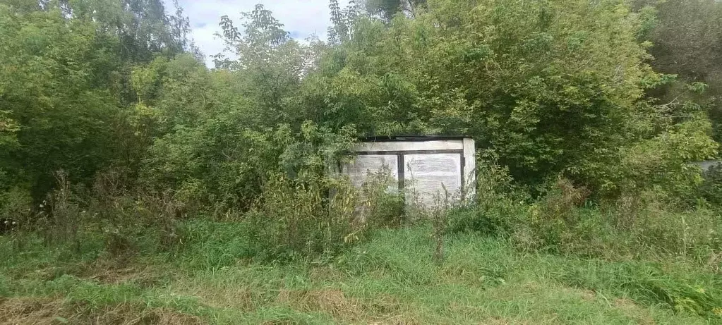 Участок в Липецкая область, Задонский муниципальный округ, д. Синявка  ... - Фото 2