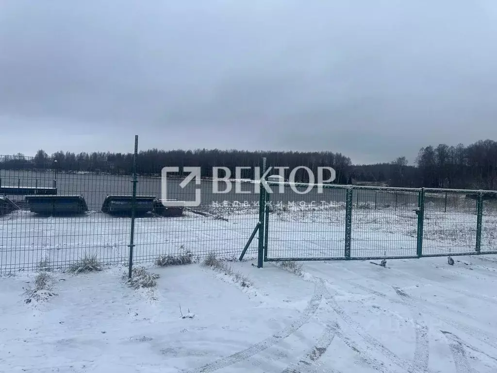 Участок в Костромская область, Красносельский район, Боровиковское ... - Фото 2