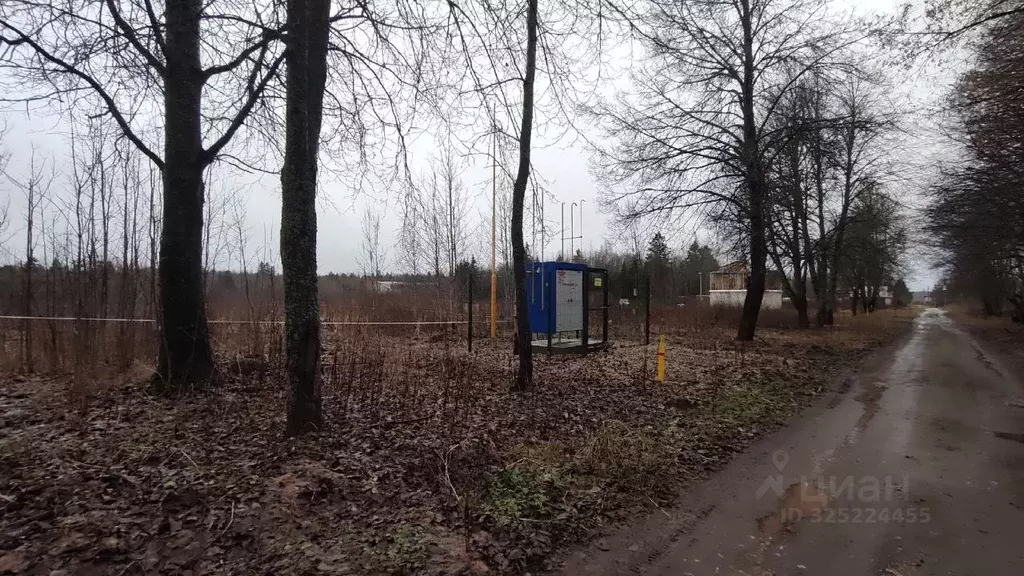 Участок в Ленинградская область, Гатчинский муниципальный округ, д. ... - Фото 1