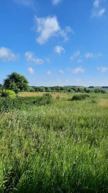 Дом в Рязанская область, Михайловский муниципальный округ, с. ... - Фото 2