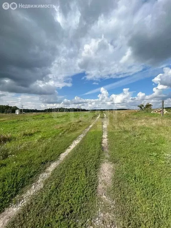 Участок в Курганская область, Кетовский муниципальный округ, село ... - Фото 1