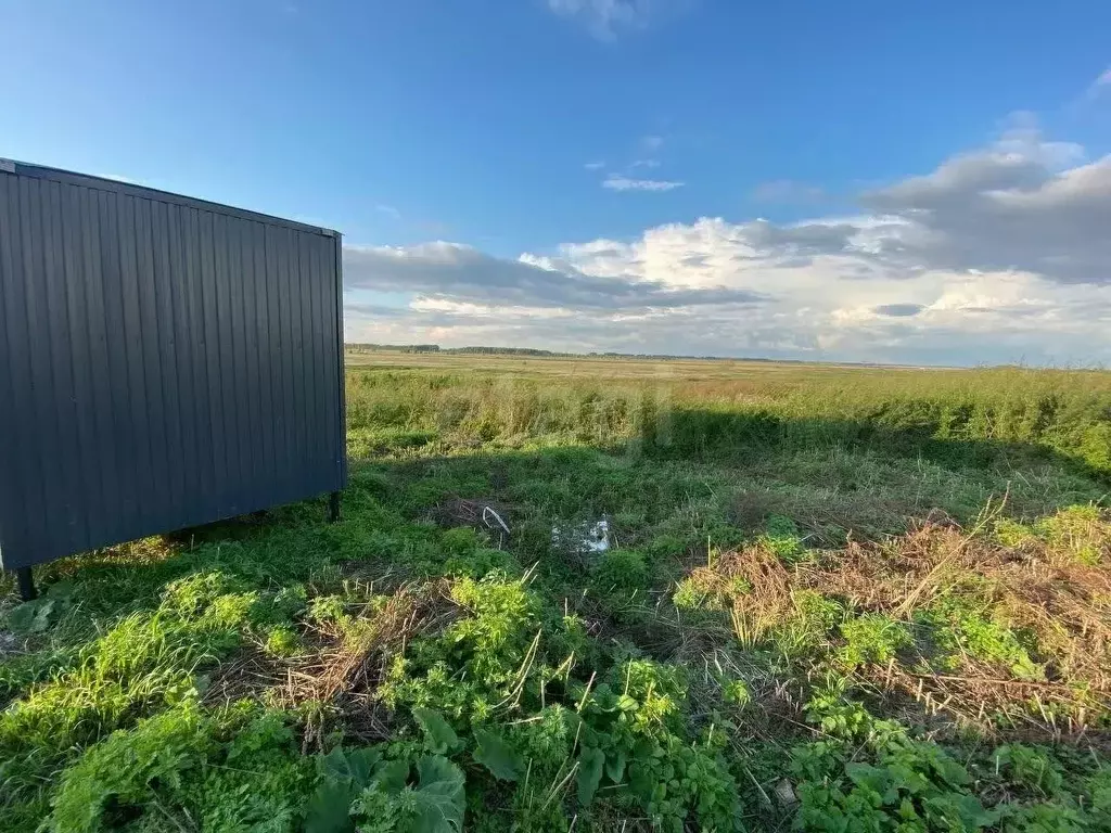 Участок в Новосибирская область, Коченево рп  (10.0 сот.) - Фото 1