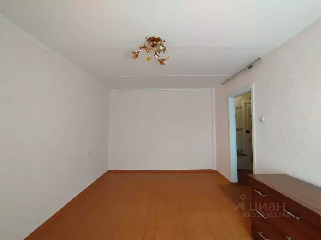 1-к кв. Алтайский край, Барнаул ул. Антона Петрова, 226 (29.0 м) - Фото 0