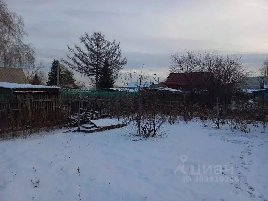 Участок в Новосибирская область, Новосибирск Ложок садовое ... - Фото 0