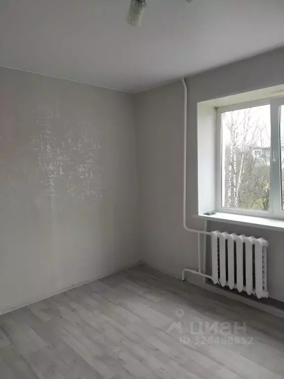 Студия Новгородская область, Великий Новгород ул. Попова, 6к2 (17.4 м) - Фото 2