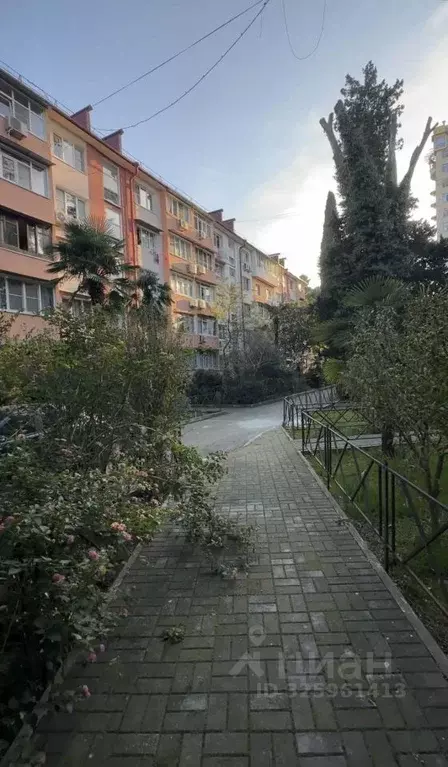 1-к кв. Краснодарский край, Сочи Центральный мкр, ул. Роз, 56 (31.0 м) - Фото 1