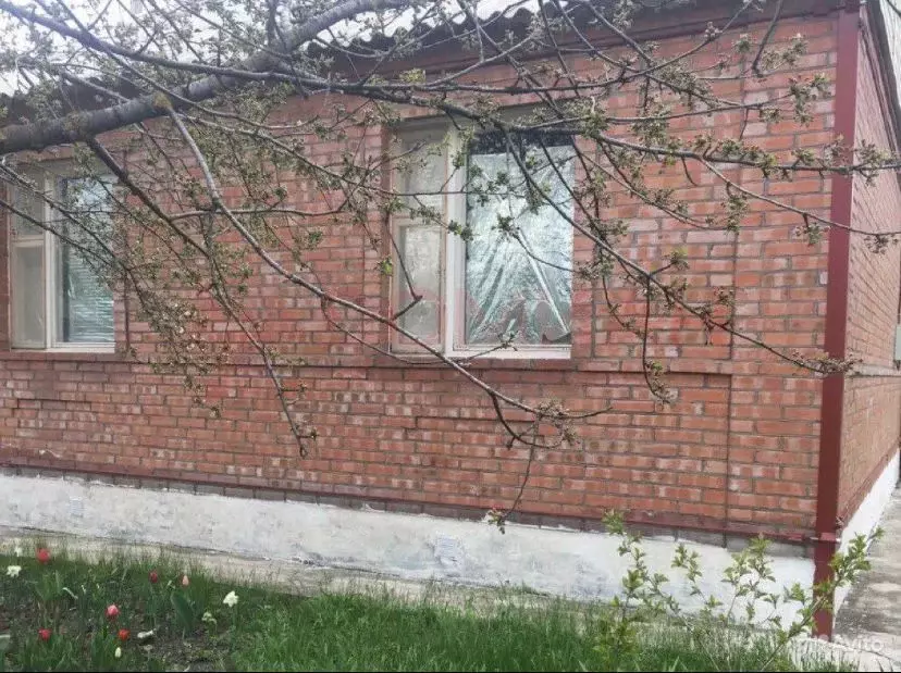 Дом в Ростовская область, Багаевская ст-ца пер. Воровского (50 м) - Фото 1