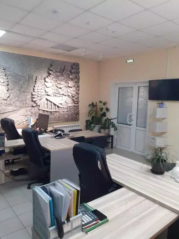 Офис в Красноярский край, Красноярск ул. Дубенского, 4к3 (62 м) - Фото 1