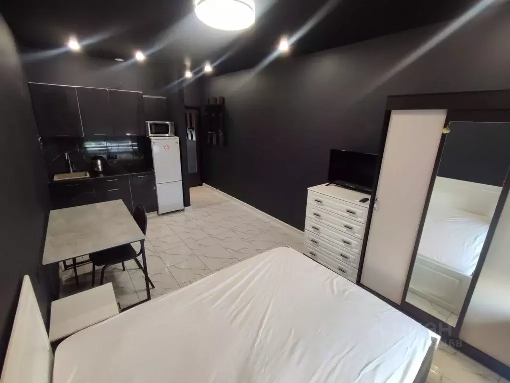 Студия Московская область, Видное ул. Ермолинская, 2 (22.0 м) - Фото 2