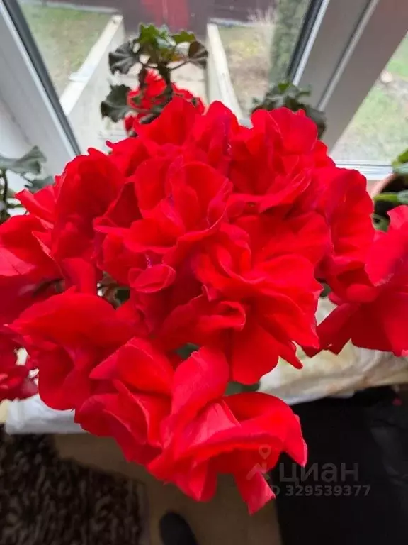 Дом в Московская область, Домодедово городской округ, с. Никитское ул. ... - Фото 1