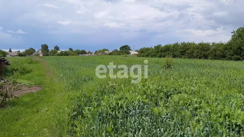 Участок в Белгородская область, Корочанский район, с. Мелихово  (42.72 ... - Фото 1