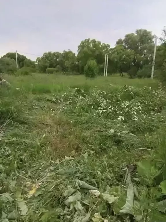 Участок в Смоленская область, Гагаринский район, д. Гульцово ул. ... - Фото 1