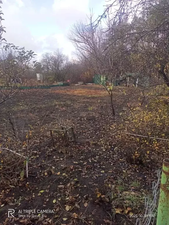 Участок в Белгородская область, Яковлевский муниципальный округ, ... - Фото 1