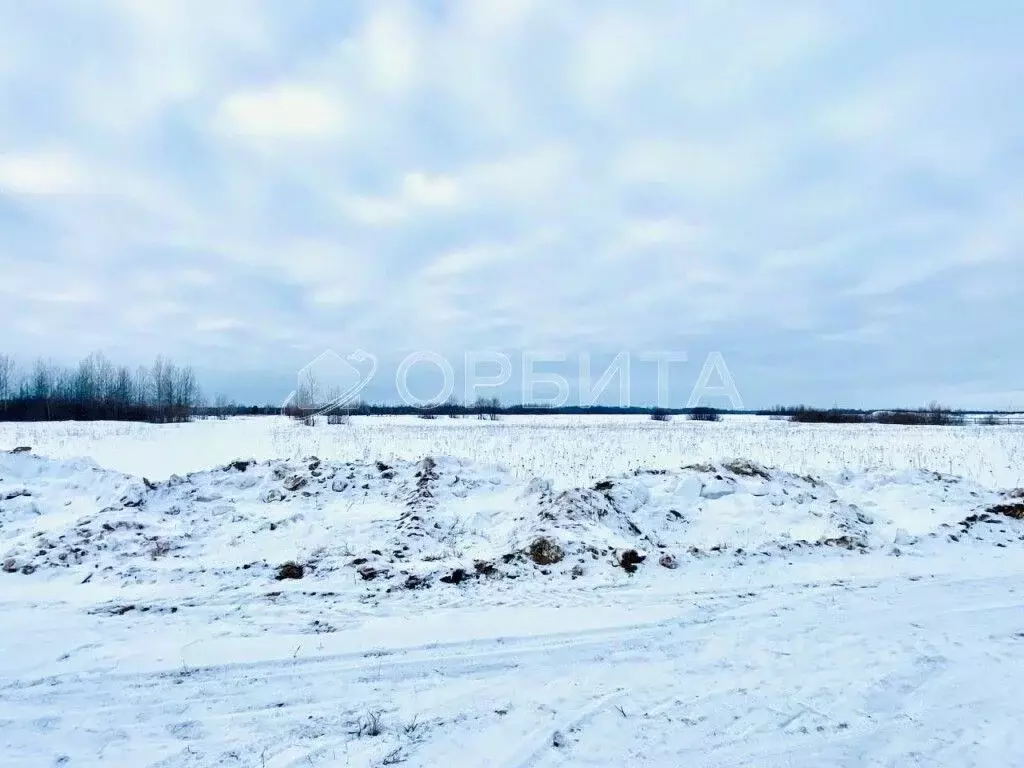 Участок в Тюменская область, Тюменский район, д. Марай  (7.5 сот.) - Фото 0