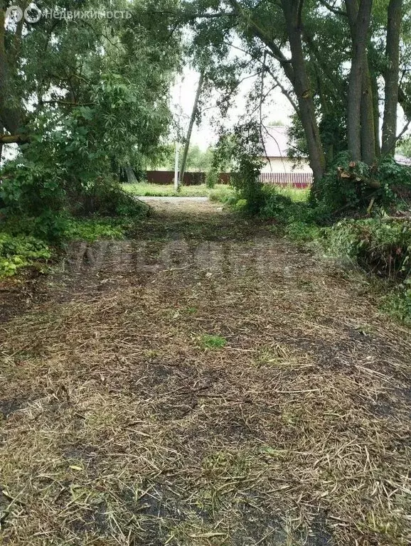 Участок в село Бессоновка, улица Максюшина, 9 (14 м) - Фото 2