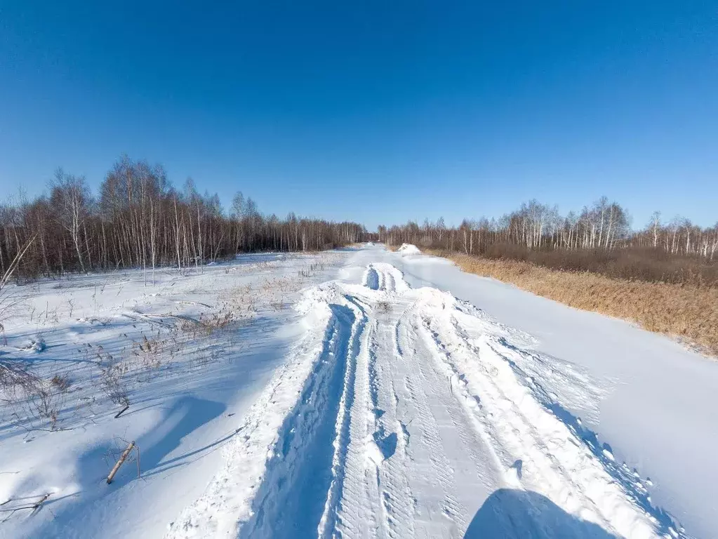 Участок в Тюменская область, Тюмень  (8.0 сот.) - Фото 1