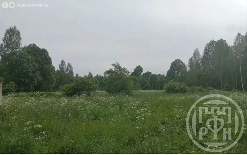 Участок в Псковская область, Плюсский муниципальный округ, деревня ... - Фото 2