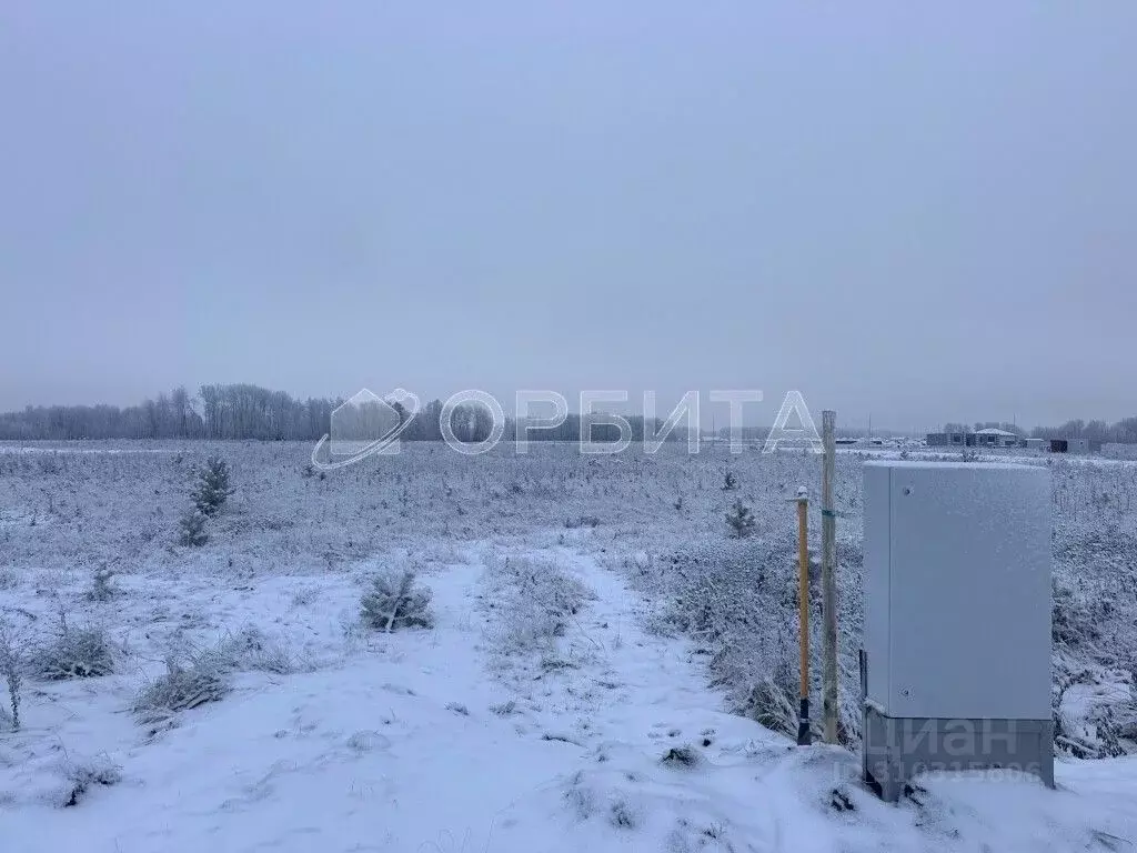 Участок в Тюменская область, Тюменский район, Новокаменский кп ул. ... - Фото 0