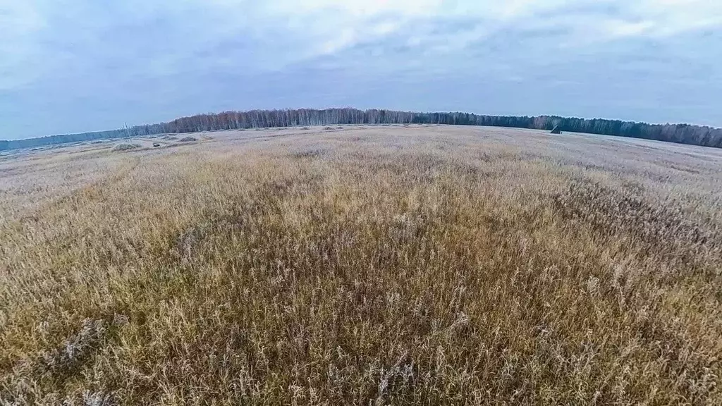 Участок в Тюменская область, Тюменский муниципальный округ, с. Кулига  ... - Фото 1