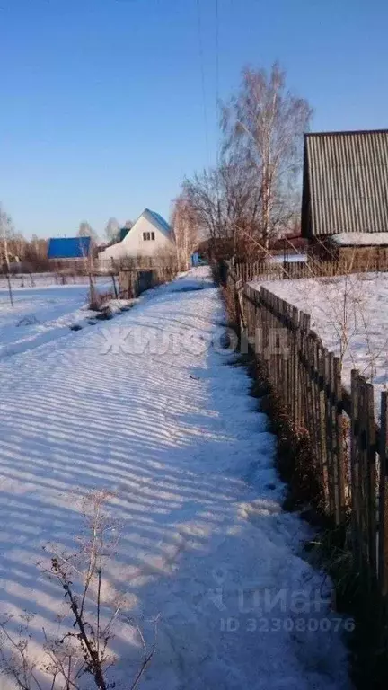 Участок в Новосибирская область, Ордынское рп, Рябинка СНТ  (6.0 сот.) - Фото 2