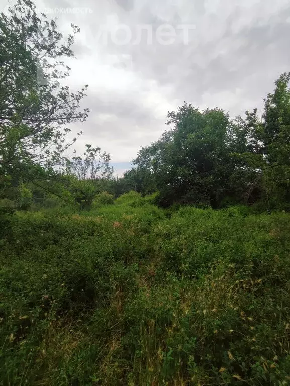 Участок в Астрахань, садоводческое некоммерческое товарищество ... - Фото 1