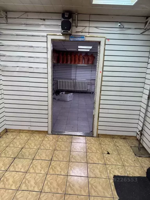 Торговая площадь в Красноярский край, Норильск ул. Нансена, 66 (75 м) - Фото 2