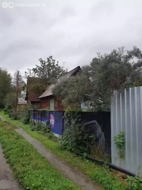 Участок в Репьевский сельсовет, посёлок Боровушка (5.8 м) - Фото 1