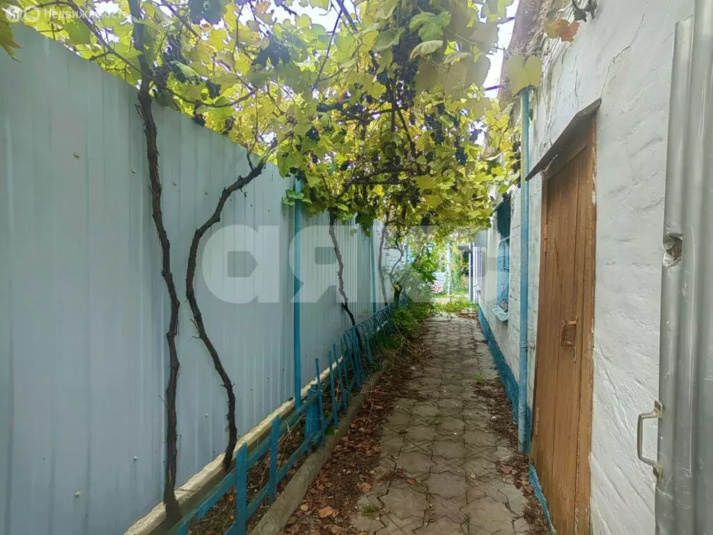 Дом в Анапа, улица Гоголя (35 м) - Фото 1