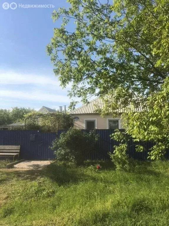 Дом в станица Пластуновская, улица Ленина, 6 (75 м) - Фото 1
