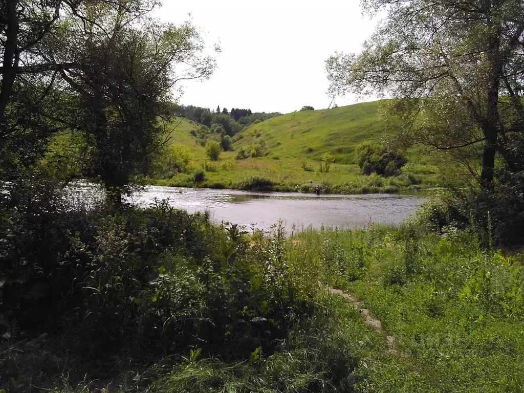 Участок в Липецкая область, Данковский муниципальный округ, с. Сугробы ... - Фото 2