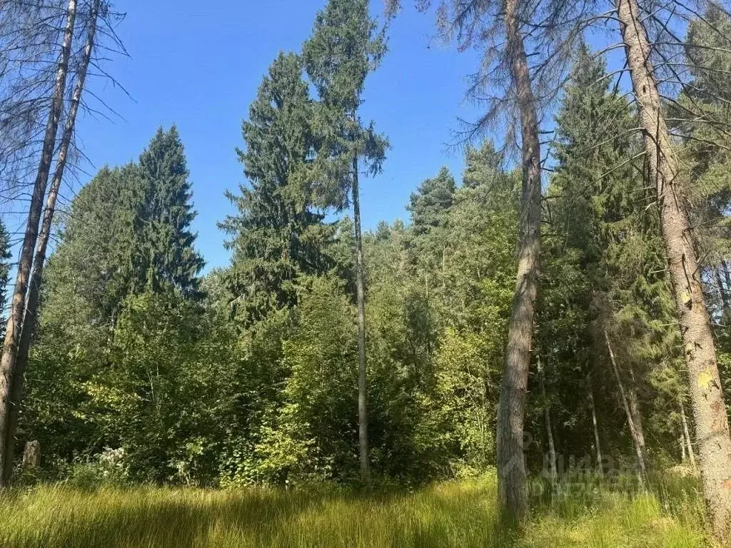 Участок в Московская область, Одинцовский городской округ, с. ... - Фото 1