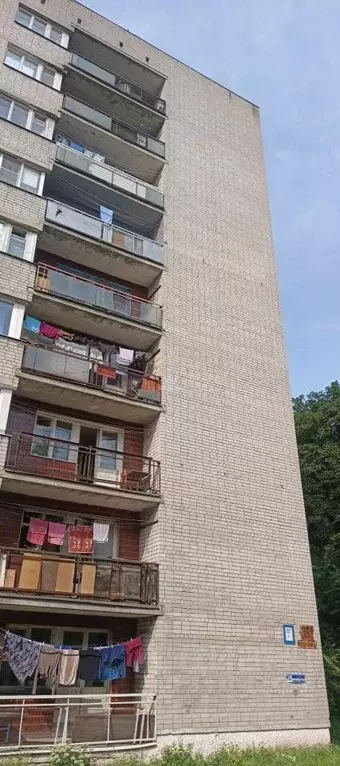 Комната Воронежская область, Воронеж ул. Березовая Роща, 36А (13.0 м) - Фото 1